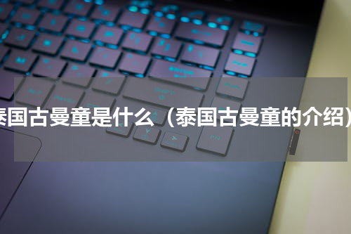 泰国古曼童是什么（泰国古曼童的介绍）