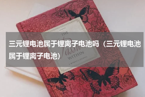 三元锂电池属于锂离子电池吗（三元锂电池属于锂离子电池）