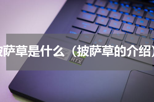 披萨草是什么（披萨草的介绍）