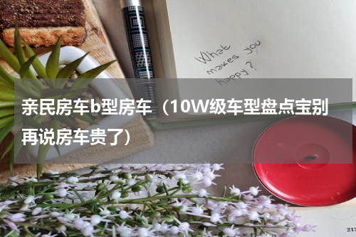 亲民房车b型房车（10W级车型盘点宝别再说房车贵了）