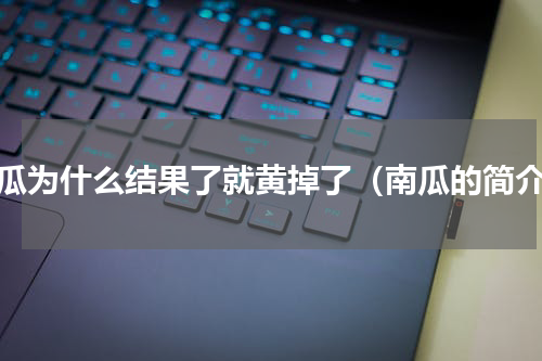 南瓜为什么结果了就黄掉了（南瓜的简介）
