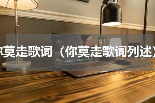 你莫走歌词（你莫走歌词列述）