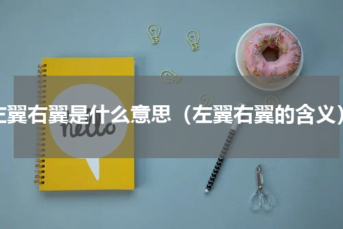 左翼右翼是什么意思（左翼右翼的含义）