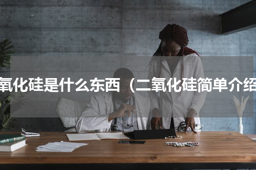 二氧化硅是什么东西（二氧化硅简单介绍）