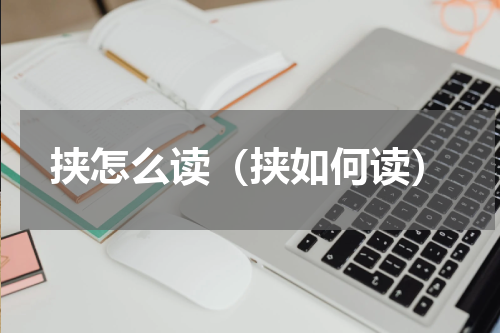 挟怎么读（挟如何读）