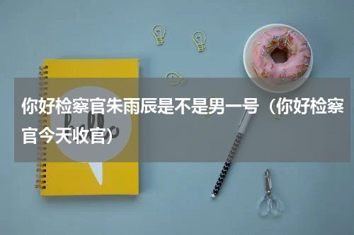 你好检察官朱雨辰是不是男一号（你好检察官今天收官）