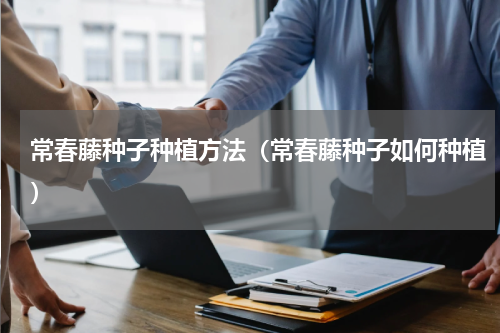 常春藤种子种植方法（常春藤种子如何种植）