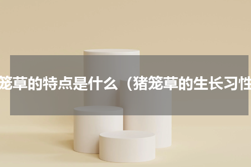 猪笼草的特点是什么（猪笼草的生长习性）