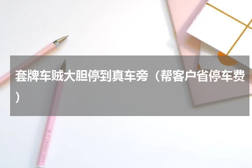 套牌车贼大胆停到真车旁（帮客户省停车费）
