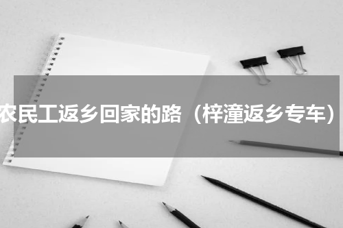 农民工返乡回家的路（梓潼返乡专车）