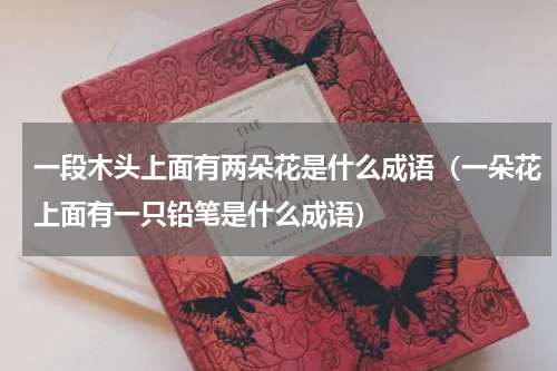 一段木头上面有两朵花是什么成语（一朵花上面有一只铅笔是什么成语）