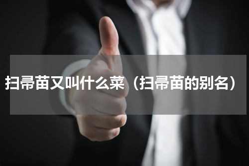 扫帚苗又叫什么菜（扫帚苗的别名）