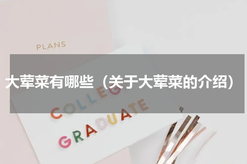 大荤菜有哪些（关于大荤菜的介绍）