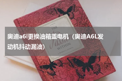 奥迪a6l更换油箱盖电机（奥迪A6L发动机抖动漏油）