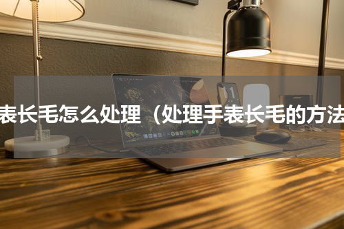手表长毛怎么处理（处理手表长毛的方法）