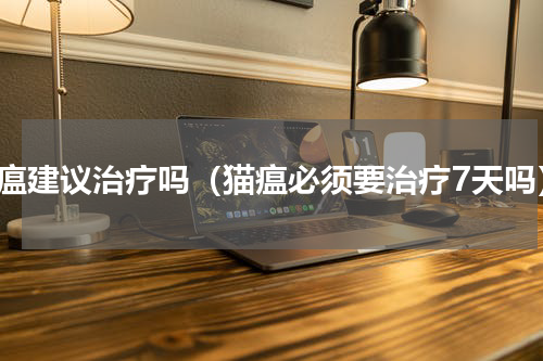 猫瘟建议治疗吗（猫瘟必须要治疗7天吗）