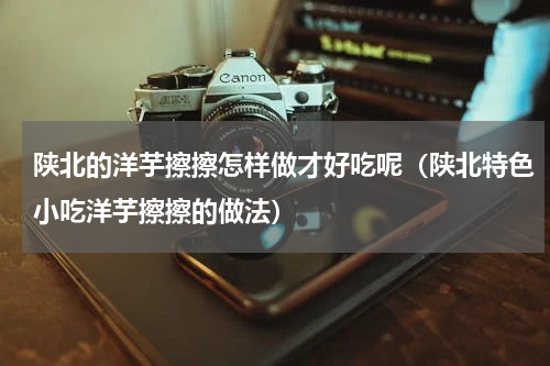 陕北的洋芋擦擦怎样做才好吃呢（陕北特色小吃洋芋擦擦的做法）