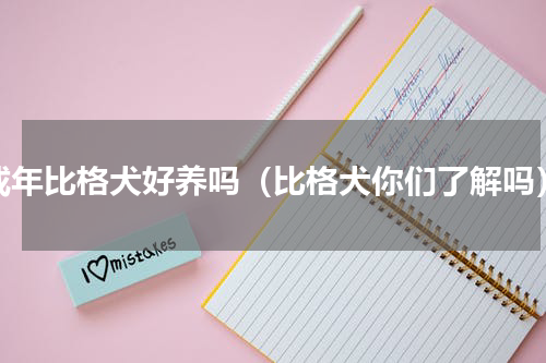 成年比格犬好养吗（比格犬你们了解吗）