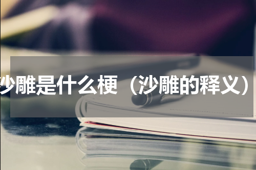 沙雕是什么梗（沙雕的释义）