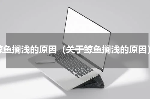 鲸鱼搁浅的原因（关于鲸鱼搁浅的原因）