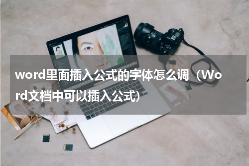 word里面插入公式的字体怎么调（Word文档中可以插入公式）