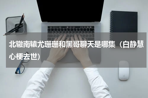 北辙南辕尤珊珊和黑哥聊天是哪集（白静慧心梗去世）