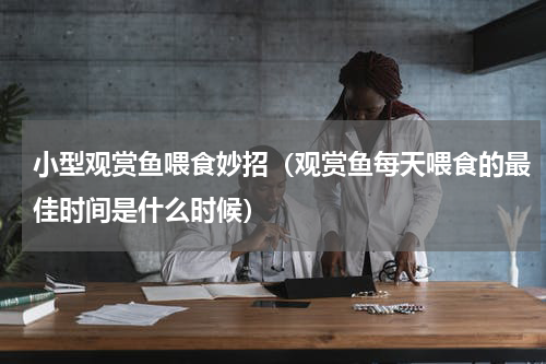 小型观赏鱼喂食妙招（观赏鱼每天喂食的最佳时间是什么时候）