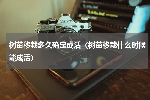 树苗移栽多久确定成活（树苗移栽什么时候能成活）