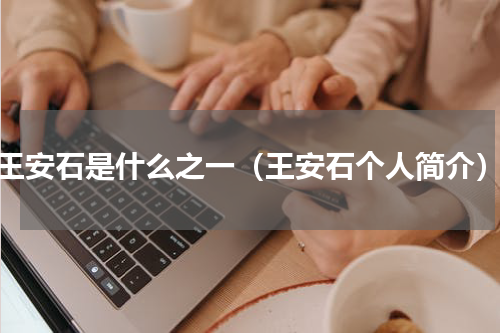 王安石是什么之一（王安石个人简介）