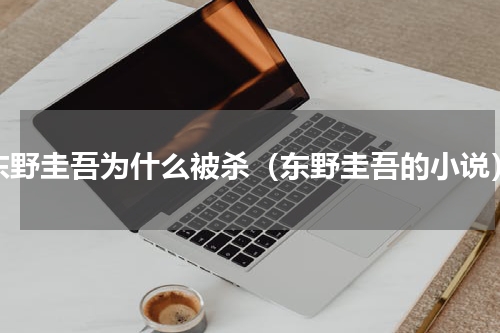 东野圭吾为什么被杀（东野圭吾的小说）