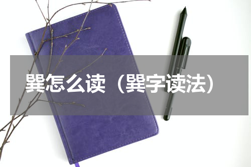 巽怎么读（巽字读法）