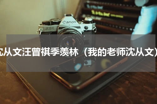沈从文汪曾祺季羡林（我的老师沈从文）