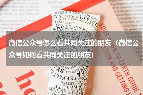 微信公众号怎么看共同关注的朋友（微信公众号如何看共同关注的朋友）