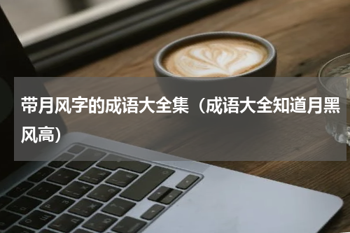 带月风字的成语大全集（成语大全知道月黑风高）
