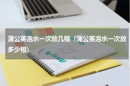 蒲公英泡水一次放几根（蒲公英泡水一次放多少根）