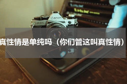 真性情是单纯吗（你们管这叫真性情）