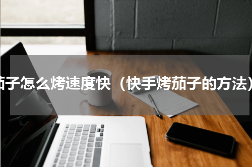 茄子怎么烤速度快（快手烤茄子的方法）
