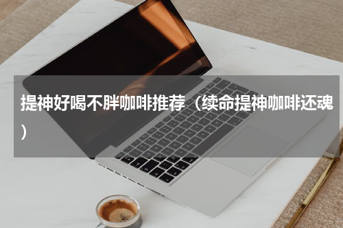 提神好喝不胖咖啡推荐（续命提神咖啡还魂）