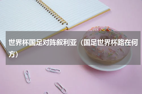 世界杯国足对阵叙利亚（国足世界杯路在何方）