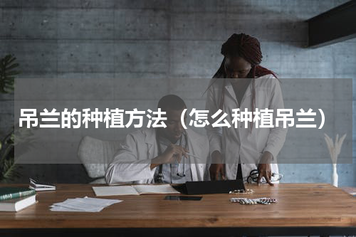 吊兰的种植方法（怎么种植吊兰）