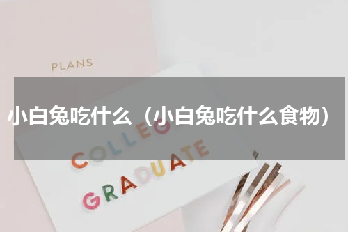 小白兔吃什么（小白兔吃什么食物）