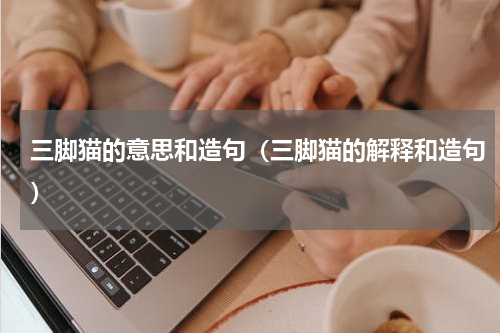 三脚猫的意思和造句（三脚猫的解释和造句）