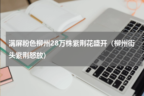 满屏粉色柳州28万株紫荆花盛开（柳州街头紫荆怒放）