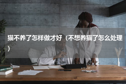 猫不养了怎样做才好（不想养猫了怎么处理）