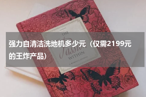强力自清洁洗地机多少元（仅需2199元的王炸产品）