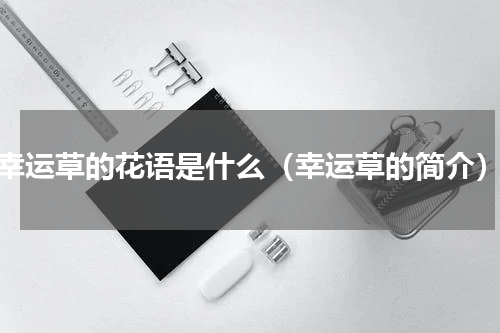 幸运草的花语是什么（幸运草的简介）