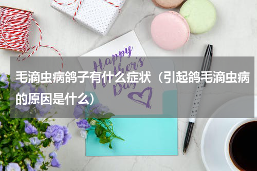 毛滴虫病鸽子有什么症状（引起鸽毛滴虫病的原因是什么）