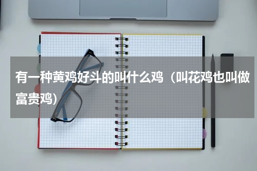 有一种黄鸡好斗的叫什么鸡（叫花鸡也叫做富贵鸡）