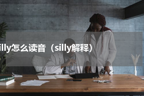 silly怎么读音（silly解释）