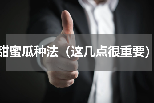 甜蜜瓜种法（这几点很重要）